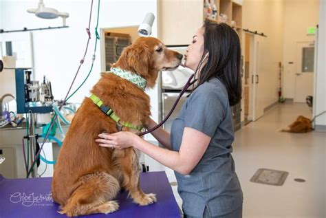 soma animal hospital|Contact Us .